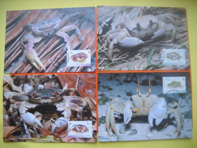 HOPCT MAXIMA NR 1066 SET 4 MAXIME CRABI COCOS KEELING ISLANDS 2000-FAUNA MARINA -FAUNA foto