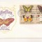 P7 FDC SUA- Butterflies -First day of Issue, necirc. 1977