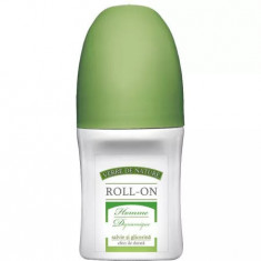 DEO ROLL-ON SALVIE DYNAMIQUE 50GR