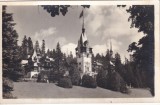Sinaia. Castelul Peles (scrisa)
