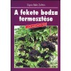 A fekete bodza termeszt&eacute;se - Sipos B&eacute;la Zolt&aacute;n