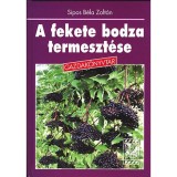 A fekete bodza termeszt&eacute;se - Sipos B&eacute;la Zolt&aacute;n