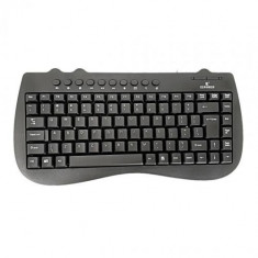 Tastatura mini Elworld GT-3100 multimedia,US,USB ? GT3100 foto