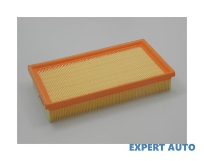 Filtru aer w Ford Focus (1998-2004) [DAW, DBW] #1 foto