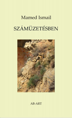 Sz&amp;Atilde;&amp;iexcl;m&amp;Aring;&amp;plusmn;zet&amp;Atilde;&amp;copy;sben - Mamed Ismail foto