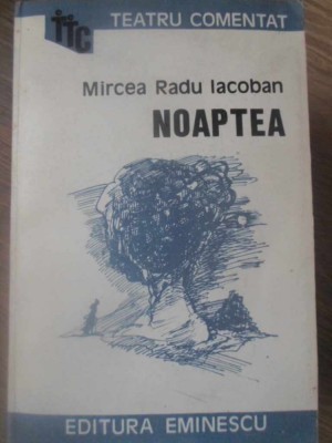 NOAPTEA-MIRCEA RADU IACOBAN-90522 foto