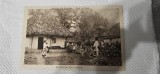 Carte postala SALUTARI DIN ROMANIA , VIATA LA TARA