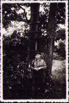 M461 V&amp;acirc;nător, Transilvania interbelică foto