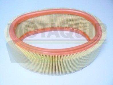 MOTAQUIP VFA19 Filtru aer foto