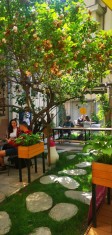 Restaurant la cheie - Bucuresti, central foto