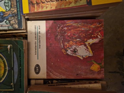 Trandafirul de aur vintage foto