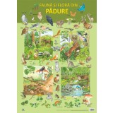 Plansa - Fauna si flora din padure | Nelson Verlag