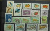 LOT KOREA