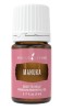 Ulei esential Manuka 5 ML, Young Living