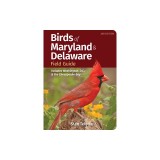 Birds of Maryland &amp; Delaware Field Guide: Includes Washington, D.C., and the Chesapeake Bay
