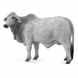 Figurina Vaca Brahman, Collecta