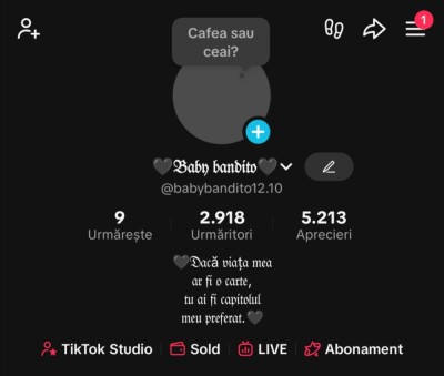 V&amp;acirc;nd cont de tiktok foto