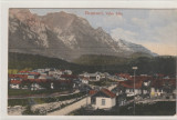 Busteni-Valea Alba