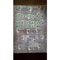 Introducere in informatica economica