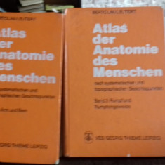 ATLAS DER ANATOMIE DES MENSCHEN - BERTOLINI 2 VOLUME (ATLAS DE ANATOMIA OMULUI)