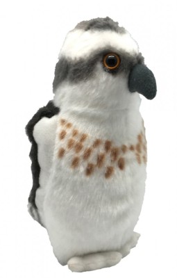 Pasare cu sunet Vultur Pescar - OSPREY foto