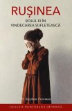 Rusinea. Vindecarea sufleteasca. Stephen Freeman - Carte Psihologie