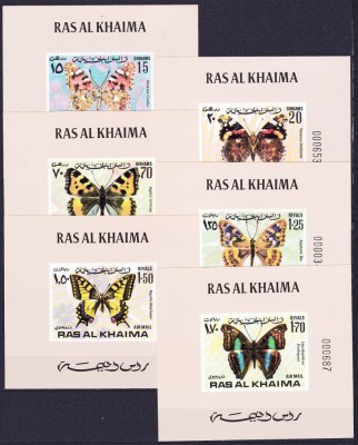 DB1 Ras al Khaima Fauna Fluturi 6 x SS de Lux MNH foto