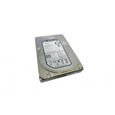 Hard disk NOU server DELL EqualLogic DP/N 2P4N9 2TB