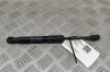 Amortizor capota dreapta față TESLA MODEL Y 2022 OEM: 1692576-00-A 29982367