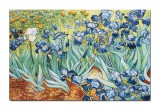 Cumpara ieftin Tablou celebru pictat manual living, Irisi la Saint-Remy, 150x100cm ulei pe panza, reproducere Vincent van Gogh, Magistral
