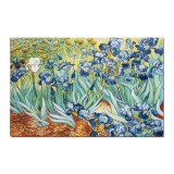 Tablou celebru pictat manual living, Irisi la Saint-Remy, 150x100cm ulei pe panza, reproducere Vincent van Gogh, Magistral