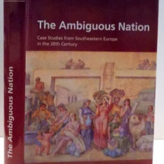 THE AMBIGUOUS NATIONS, CASE STUDIES FROM SOUTHEASTERN EUROPE IN THE 20TH CENTURY , 2013