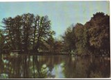 CPIB 18024 CARTE POSTALA - SEBES. PARCUL &quot;23 AUGUST&quot; RPR