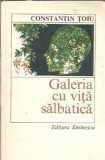 Galeria cu vita salbatica - Constantin Toiu