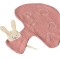 Jucarie doudou ciupercuta Egmont Toys