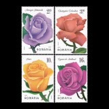 Trandafiri 2022 LP 2367