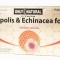 PROPOLIS&amp;ECHI.FORTE 1000MG 10FIOLEX10ML