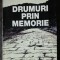 DRUMURI PRIN MEMORIE - OCTAVIAN PALER