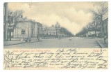 5670 - GALATI, Domneasca Street &amp; Dog, Litho, Romania - old postcard - used - 1902