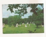RF191 - Carte Postala - Magura. Tabara de sculptura, circulata 1972