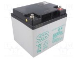 Acumul: plumb-acid 12V 40Ah AGM nu necesită &icirc;ntreţinere 13kg