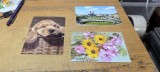 Carti Postale
