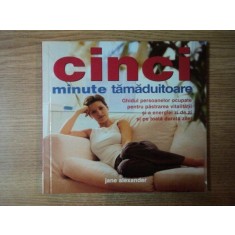 CINCI MINUTE TAMADUITOARE , GHIDUL PERSOANELOR OCUPATE PENTRU PASTRAREA VITALITATII SI A ENERGIEI ZI DE ZI SI PE TOATA DURATA ZILEI de JANE ALEXANDER