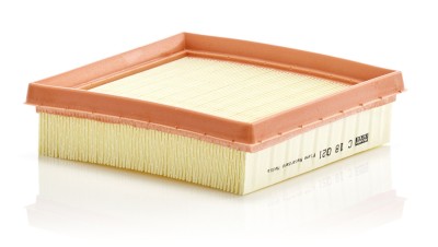 MANN-FILTER C 18 021 Filtru aer foto