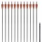 Sage?i standard arc recurv 30&quot; 0,76 cm carbon 12 buc.