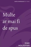 Multe ar mai fi de spus/Ioan Moldovan