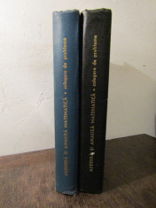 D. Flondor M. Donciu - Algebra si analiza matematica , 2 volume foto