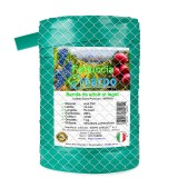 Banda de altoit si legat pentru grefe, 16 mm, 72 metri, extra PVC plastifiat, verde, elastica, bobina verticala, Fettuccia, 1 kg