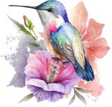 Cumpara ieftin Sticker decorativ, Pasarea Colibri, Multicolor, 62 cm, 1271STK