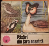 PASARI DIN TARA NOASTRA , text de MATEI TALPEANU , NICOLAE SAFTOIU , 1978